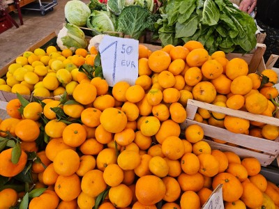 WhatsApp Image 2025-11-07 at 09.18.47 (1).jpeg